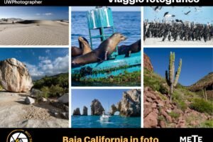 Viaggio fotografico Baja California – Feb 2023