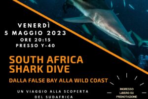 SOUTH AFRICA SHARK DIVE – 5 maggio 2023 presso Y-40