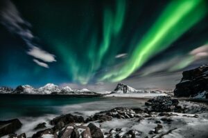 Offerta Orche e Balene Expedition in Norvegia – Novembre 2023